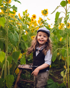 5fea61_571f929aee4a4339a266be5c9fc785c8_mv2