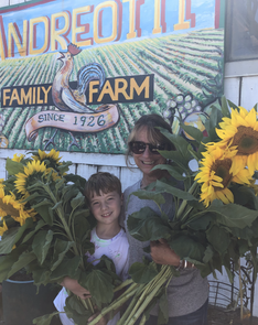 5fea61_839bfed77dc44f9d9db8d26f94703c7b_mv2